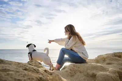 Usedom mit Hund